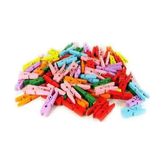 ALK Renkli Mini Ahşap Mandal (100 Adet)