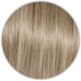 Alterego 10/3 Platin Altın 100 ML Saç Boyası