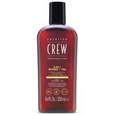 American Crew Men Ginger + Tea 3’Ü 1 Arada Şampuan 250Ml