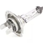 Ampul Eco 12v H7 55w Px26d