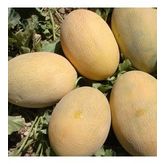 Ananas Kavun Tohumu (10 gram)