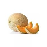 Ananas Kavun Tohumu 10Gr