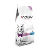 Anatolian Premium 10 KG Somonlu Kısırlaştırılmış Kedi Maması