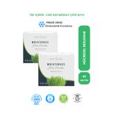 Ancient Greens Buğday Çimi Suyu Tozu 48 X 1g