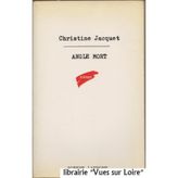 Angle mort