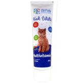 ANS Multivitaminli 100 gr Kedi Ödülü