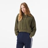 Anta Iconic Kadın Yeşil Sweatshirt.3