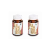 Anti Ganoderma Lucidium Reishi Mantarı 2x90 Kapsül