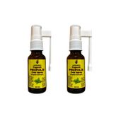 Apimed Propolis Oral Sprey – Bitkisel Yağ Karışımlı, Alkolsüz (2*20 Ml)