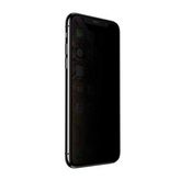 Apple iPhone 12 Mini Anti-Dust Privacy Temperli Ekran Koruyucu