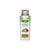 Argan Özlü Şampuan