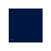 Armine 0010D02T1003 (twill) Düz Boyalı Eşarp