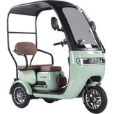 Arora Rüzgar Pro 650W 3 Tekerlekli Yeşil Elektrikli Motosiklet