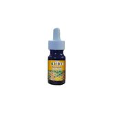 Artdeco 30ml Mor 016B-08 Ebru Boyası