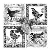 Artebella 5825V Home Design Kolay Transfer