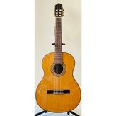 Artemis Profesyonel Klasik Gitar