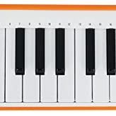 Arturia Microlab Turuncu 25 Tuş SlimKey Micro Keyboard