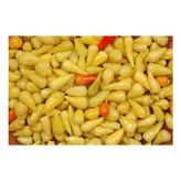 Arzuman Biberiye Biberi 5 gr Tohum