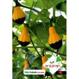 Arzuman Süs Kabak 10 Adet