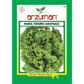 Arzuman Tohum Arapsaçı Marul 10 G