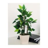 Asenya Yapay Bitki Ağacı, 30 cm, Saksıda, Dekoratif Bonsai, Krem