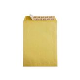 Asil Formula 100 gr 250'li 24x32 cm Torba Zarf
