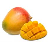 Aşısız Mango Fidanı 2 Yaş