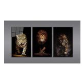 Aslan,Kaplan,Jaguar 3 lü Set Cam Tablo