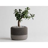 Aslanoğlu Store 3D Baskı Modern File Desenli Dekoratif Saksı - Minimal Çiçek Saksısı, Ev ve Ofis Bitki Saksısı-Gri - --