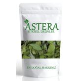 Astera 50 gr Sidr Yaprağı