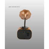 Astraltech B5 Radyo - Ahşap