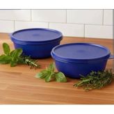 Astraltech Tupperware 2 Adet 630 ml Şekerpare.