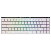 Asus ROG Falchion RX Low Profile Oyuncu Klavyesi