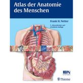 Atlas Der Anatomie Des Menschen