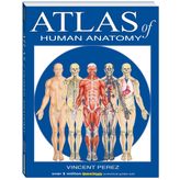 Atlas of the Human Anatomy: A Quickstudy Reference