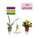 Avantajlı Ürünler 3'lü Set Tek Dikim Kılıç Sarı Kalanşo Kurdele Çiçeği