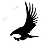 Avcı Kartal Kuş sticker 15cm