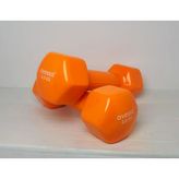 Avessa 2 Kg Vinil Dambıl Pvc 2 Adet