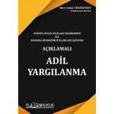 Avrupa İnsan Hakları Mahkemesi ile Anayasa Mahkemesi İlamları Işığında Adil Yargılanma