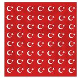 Ay Yıldız Kırmızı Fular Bandana