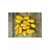 Ayc Botanik Lemon Spice Jalepeno Biber Tohumu