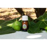 Aydın'dan Soframa Incir Sütü 1.5mL