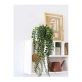 Ayshe Home Concept Dekoratif Saksılı Yapay Sarkıt Bitki Çiçek Sarmaşık Karışık Renk 35cm