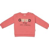 Babycosy Kız Bebek 3-24 Ay Ayıcık Desenli Sweatshirt Rose - 12 - 18 Ay