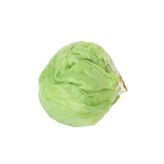 Bade Shop MARUL Tohumu ICEBERG 3 gram