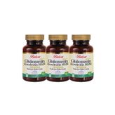 Balen Glukozamin Kondroitin MSM Boswellia 1200 mg 3x60 Tablet