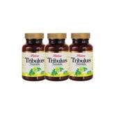 Balen Tribulus Terrestris 620 mg 3x60 Kapsül