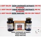 Balen Üzüm Çekirdeği+yaban Mersini+reishi Mantarı (Ganoderma)