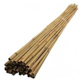 BAMBU BİTKİ DESTEK ÇUBUĞU 150 CM 10 ADET