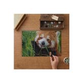 Bambu Yiyen Kızıl Panda Tasarımı 240 Parça Ahşap Puzzle Ahşap Kutuda MPY60059